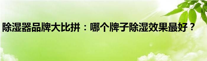 除湿器品牌大比拼：哪个牌子除湿效果最好？