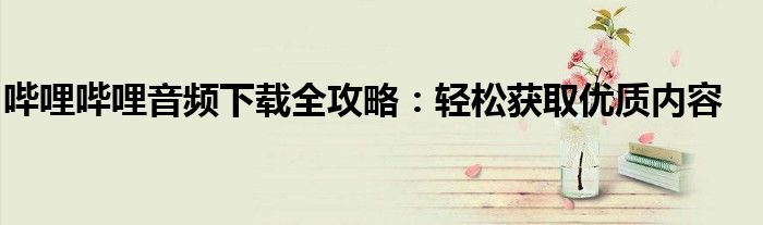 哔哩哔哩音频下载全攻略：轻松获取优质内容