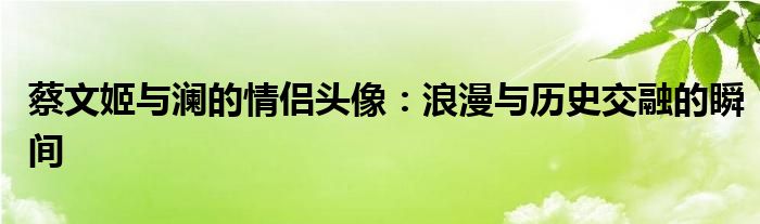 蔡文姬与澜的情侣头像：浪漫与历史交融的瞬间