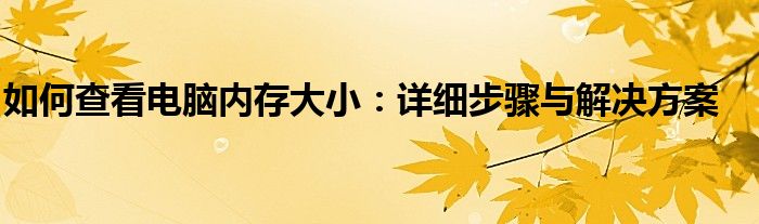 如何查看电脑内存大小：详细步骤与解决方案