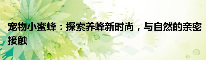 宠物小蜜蜂：探索养蜂新时尚，与自然的亲密接触