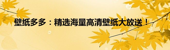 壁纸多多：精选海量高清壁纸大放送！