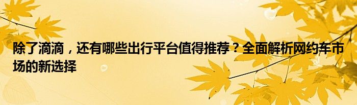 除了滴滴，还有哪些出行平台值得推荐？全面解析网约车市场的新选择