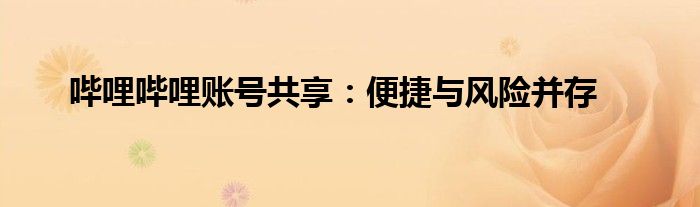 哔哩哔哩账号共享：便捷与风险并存