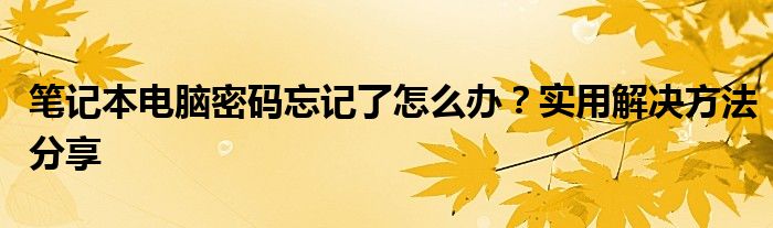 笔记本电脑密码忘记了怎么办？实用解决方法分享