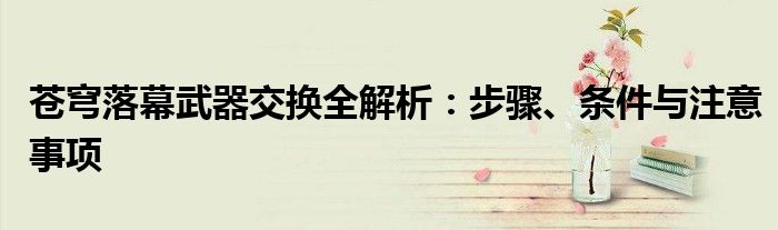 苍穹落幕武器交换全解析：步骤、条件与注意事项