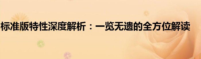 标准版特性深度解析：一览无遗的全方位解读
