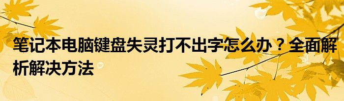笔记本电脑键盘失灵打不出字怎么办？全面解析解决方法