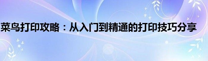 菜鸟打印攻略：从入门到精通的打印技巧分享