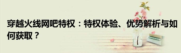 穿越火线网吧特权：特权体验、优势解析与如何获取？