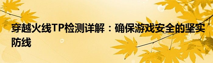 穿越火线TP检测详解：确保游戏安全的坚实防线