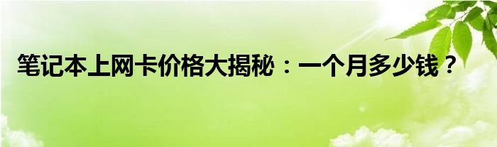 笔记本上网卡价格大揭秘：一个月多少钱？