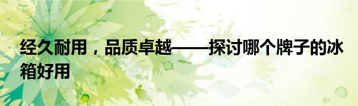 经久耐用，品质卓越——探讨哪个牌子的冰箱好用