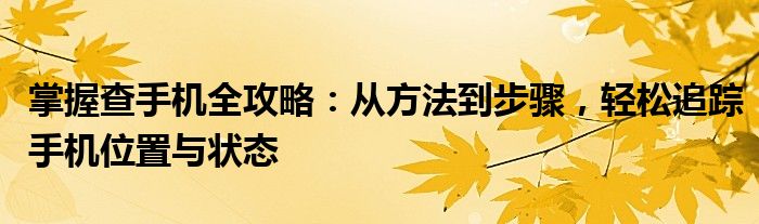 掌握查手机全攻略：从方法到步骤，轻松追踪手机位置与状态