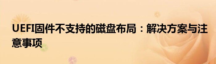 UEFI固件不支持的磁盘布局：解决方案与注意事项