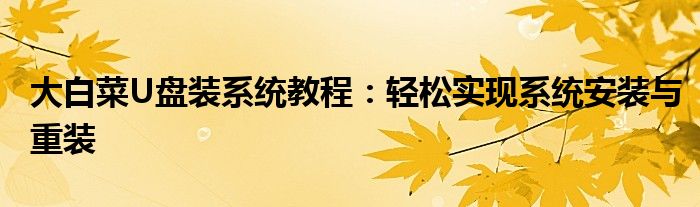 大白菜U盘装系统教程：轻松实现系统安装与重装