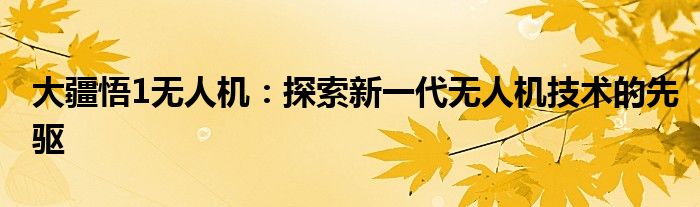 大疆悟1无人机：探索新一代无人机技术的先驱