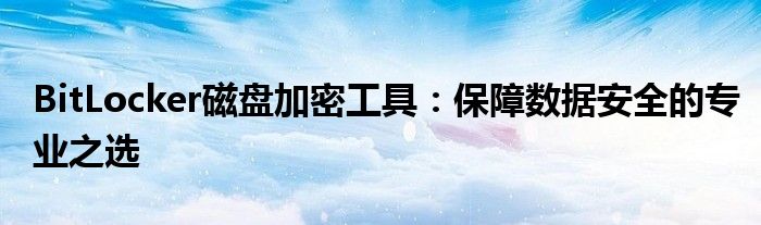 BitLocker磁盘加密工具：保障数据安全的专业之选