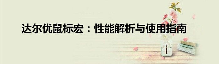 达尔优鼠标宏：性能解析与使用指南