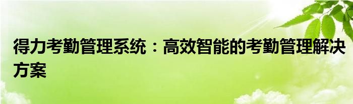 得力考勤管理系统：高效智能的考勤管理解决方案