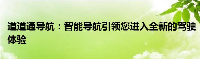 道道通导航：智能导航引领您进入全新的驾驶体验