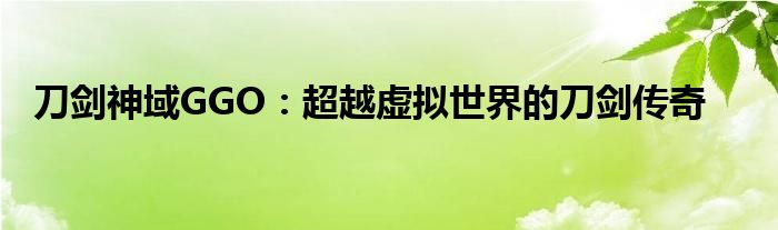 刀剑神域GGO：超越虚拟世界的刀剑传奇