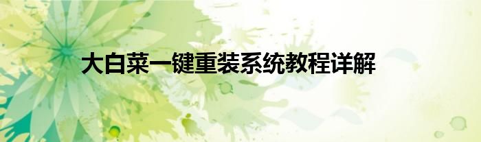 大白菜一键重装系统教程详解