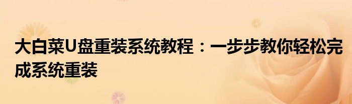 大白菜U盘重装系统教程：一步步教你轻松完成系统重装