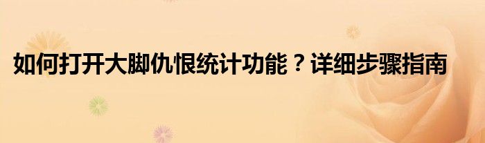 如何打开大脚仇恨统计功能？详细步骤指南