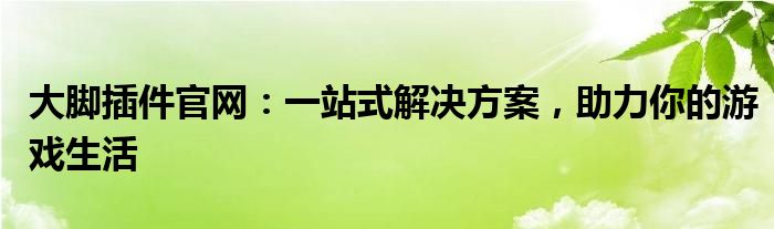 大脚插件官网：一站式解决方案，助力你的游戏生活