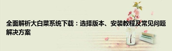 全面解析大白菜系统下载：选择版本、安装教程及常见问题解决方案