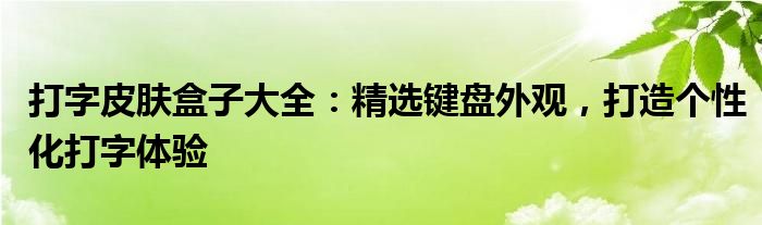 打字皮肤盒子大全：精选键盘外观，打造个性化打字体验