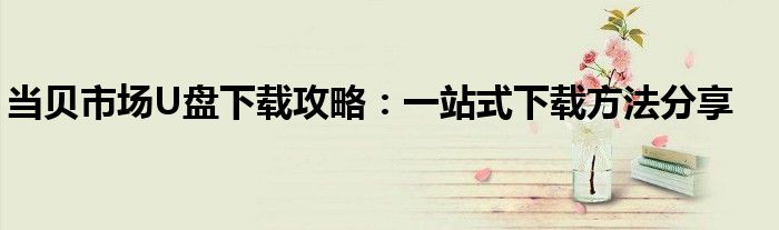 当贝市场U盘下载攻略：一站式下载方法分享