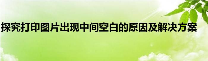 探究打印图片出现中间空白的原因及解决方案