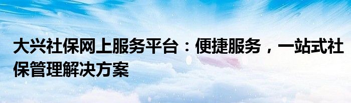 大兴社保网上服务平台：便捷服务，一站式社保管理解决方案