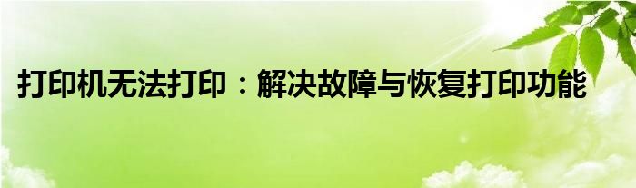 打印机无法打印：解决故障与恢复打印功能