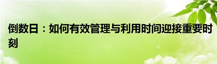 倒数日：如何有效管理与利用时间迎接重要时刻