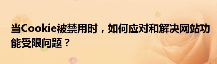 当Cookie被禁用时，如何应对和解决网站功能受限问题？
