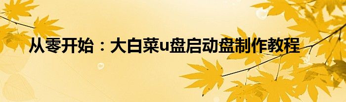 从零开始：大白菜u盘启动盘制作教程