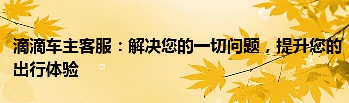 滴滴车主客服：解决您的一切问题，提升您的出行体验
