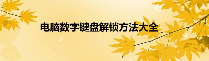 电脑数字键盘解锁方法大全