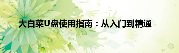 大白菜U盘使用指南：从入门到精通