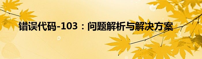 错误代码-103：问题解析与解决方案