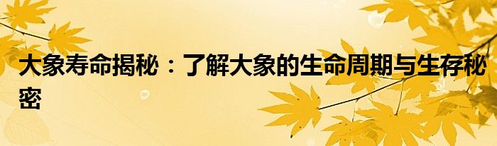 大象寿命揭秘：了解大象的生命周期与生存秘密