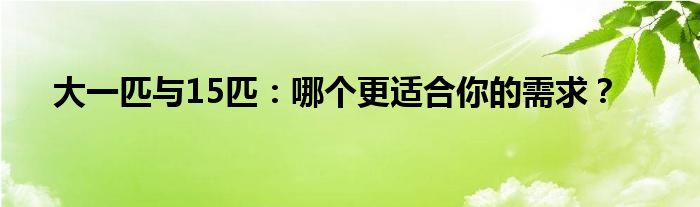 大一匹与15匹：哪个更适合你的需求？