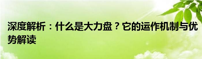 深度解析：什么是大力盘？它的运作机制与优势解读