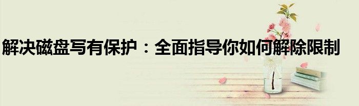 解决磁盘写有保护：全面指导你如何解除限制