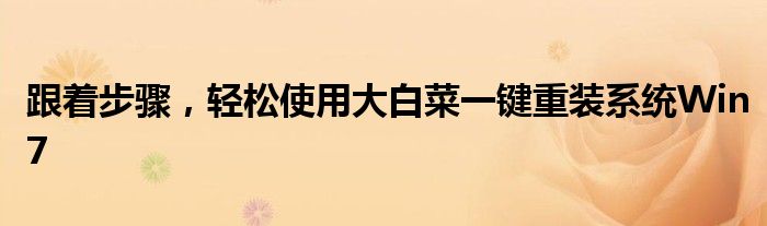 跟着步骤，轻松使用大白菜一键重装系统Win7