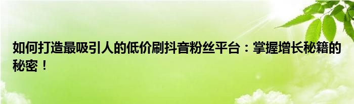 如何打造最吸引人的低价刷抖音粉丝平台：掌握增长秘籍的秘密！