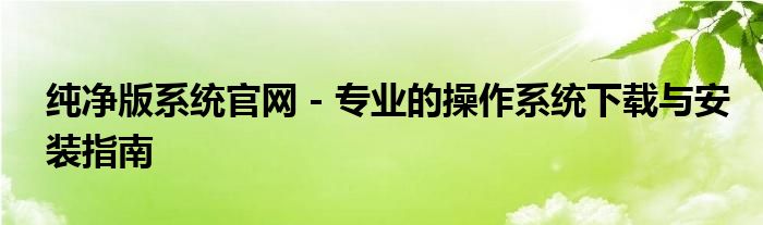 纯净版系统官网 - 专业的操作系统下载与安装指南